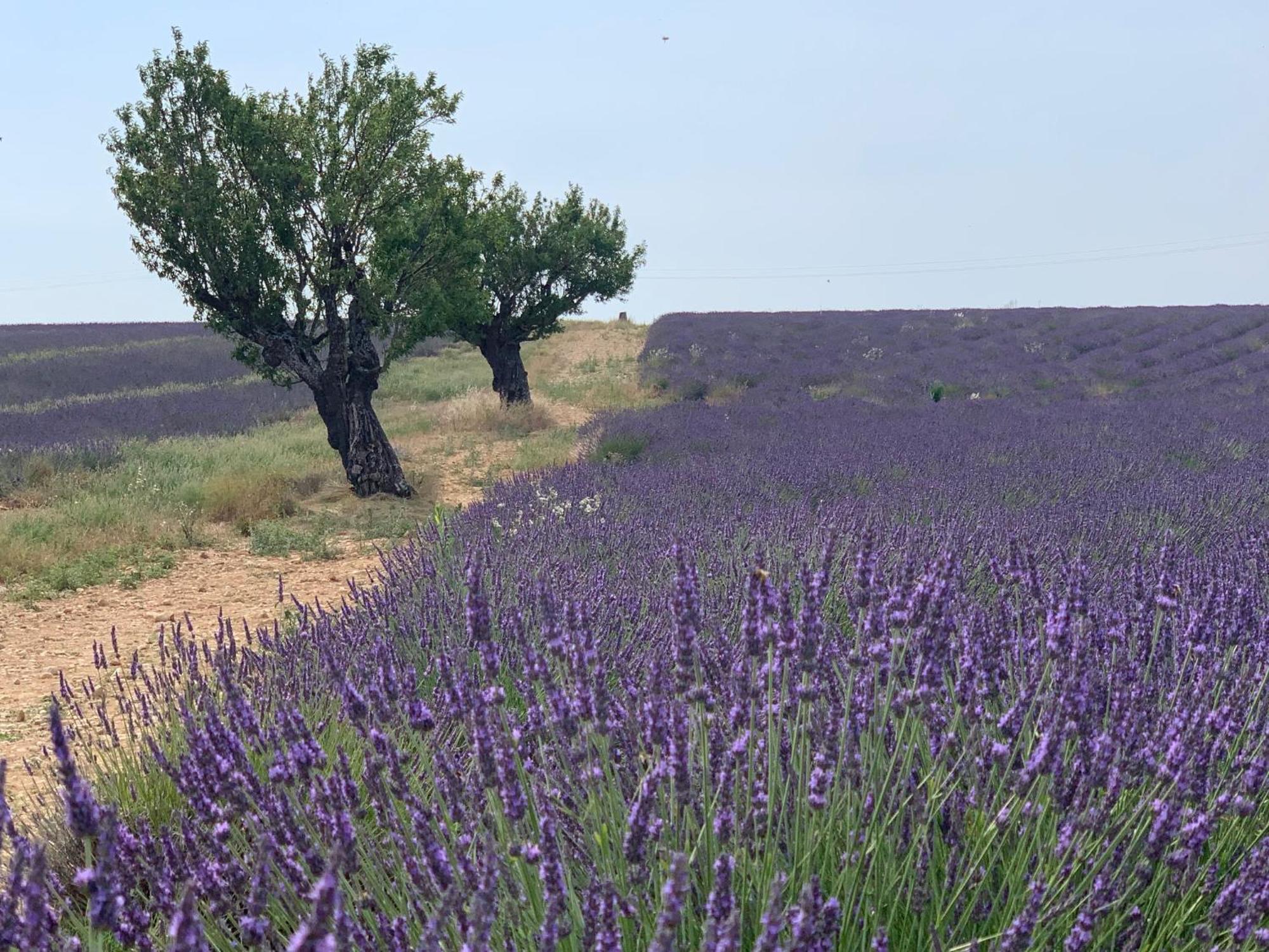 Studio Nuitee En Provence 2 Эгюий Экстерьер фото
